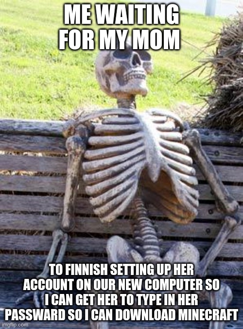 plz hurry!! | ME WAITING FOR MY MOM; TO FINNISH SETTING UP HER ACCOUNT ON OUR NEW COMPUTER SO I CAN GET HER TO TYPE IN HER PASSWARD SO I CAN DOWNLOAD MINECRAFT | image tagged in memes,waiting skeleton | made w/ Imgflip meme maker