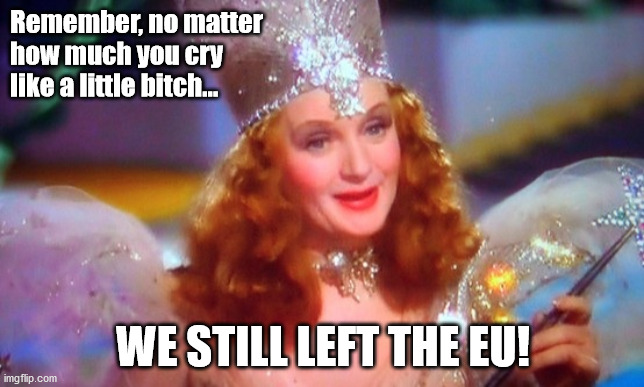 Glenda The Good Witch | Remember, no matter 
how much you cry
like a little bitch... WE STILL LEFT THE EU! | image tagged in glenda the good witch,glinda the good witch,brexit,brexit boris corbyn farage swinson trump | made w/ Imgflip meme maker