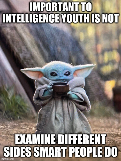 BABY YODA TEA | IMPORTANT TO INTELLIGENCE YOUTH IS NOT EXAMINE DIFFERENT SIDES SMART PEOPLE DO | image tagged in baby yoda tea | made w/ Imgflip meme maker