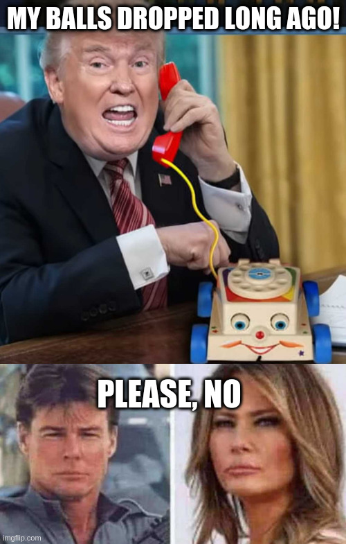 MY BALLS DROPPED LONG AGO! PLEASE, NO | image tagged in i'm the president,shemale | made w/ Imgflip meme maker