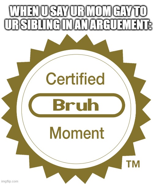 My mother wasn't exactly thrilled to hear abt this.... | WHEN U SAY UR MOM GAY TO UR SIBLING IN AN ARGUEMENT: | image tagged in blank white template,certified bruh moment | made w/ Imgflip meme maker