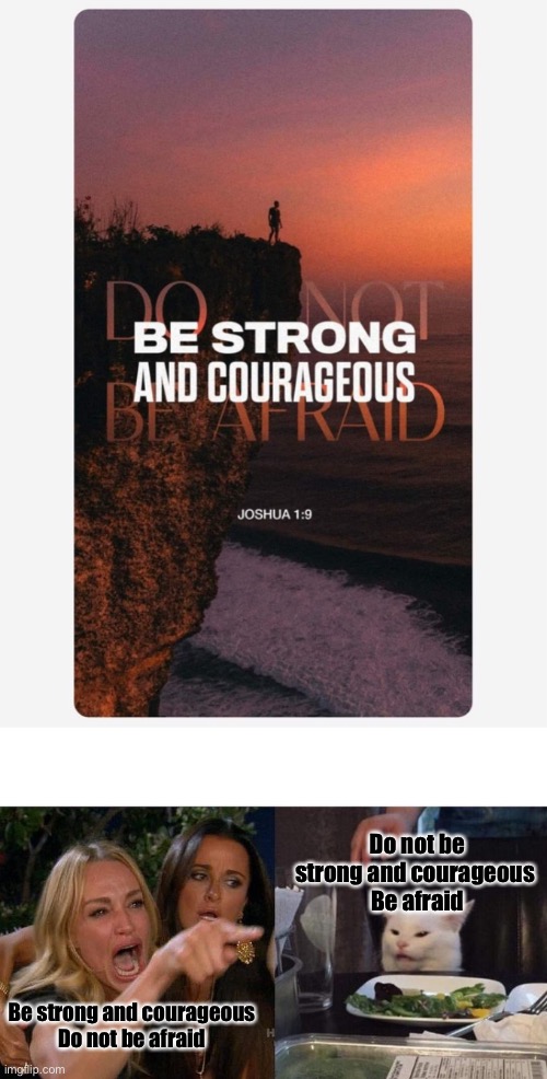 Do not be strong and courageous 
Be afraid; Be strong and courageous
Do not be afraid | image tagged in memes,woman yelling at cat | made w/ Imgflip meme maker