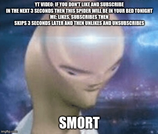 SMORT | YT VIDEO: IF YOU DON'T LIKE AND SUBSCRIBE IN THE NEXT 3 SECONDS THEN THIS SPIDER WILL BE IN YOUR BED TONIGHT
ME: LIKES, SUBSCRIBES THEN SKIPS 3 SECONDS LATER AND THEN UNLIKES AND UNSUBSCRIBES; SMORT | image tagged in smort | made w/ Imgflip meme maker