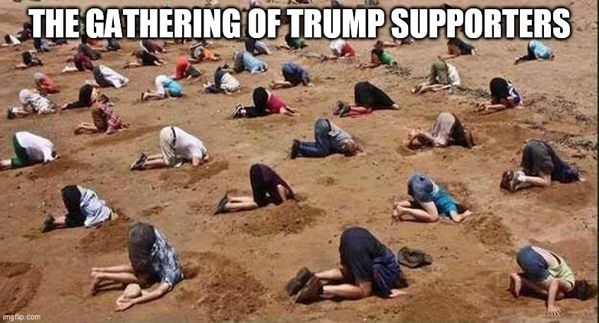 trump supporters | THE GATHERING OF TRUMP SUPPORTERS | image tagged in trump supporters,donald trump,republicans | made w/ Imgflip meme maker