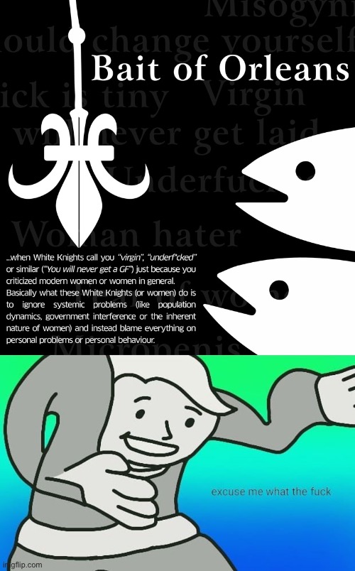 I feel like if you criticize an entire gender you leave yourself open to... the Bait of Orleans, I guess | image tagged in bait of orleans,fallout boy excuse me wyf | made w/ Imgflip meme maker