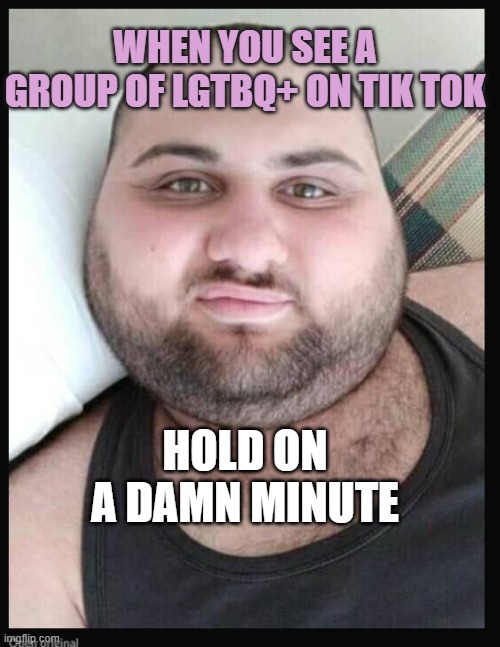 ok | WHEN YOU SEE A GROUP OF LGTBQ+ ON TIK TOK; HOLD ON A DAMN MINUTE | image tagged in i am your father | made w/ Imgflip meme maker