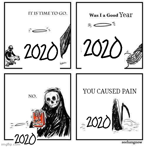 Goodbye 2020. | Year; YOU CAUSED PAIN | image tagged in it s time for you to go,2020 | made w/ Imgflip meme maker