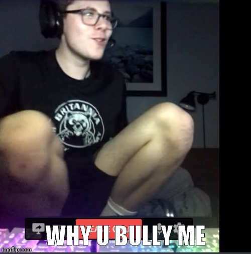 Why you bully me | WHY U BULLY ME | image tagged in why you bully me | made w/ Imgflip meme maker