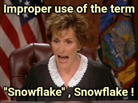 Judge Judy | Improper use of the term "Snowflake" , Snowflake ! | image tagged in judge judy | made w/ Imgflip meme maker
