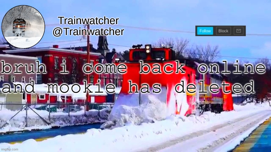 Trainwatcher Winter Temp | bruh i come back online and mookie has deleted | image tagged in trainwatcher winter temp | made w/ Imgflip meme maker