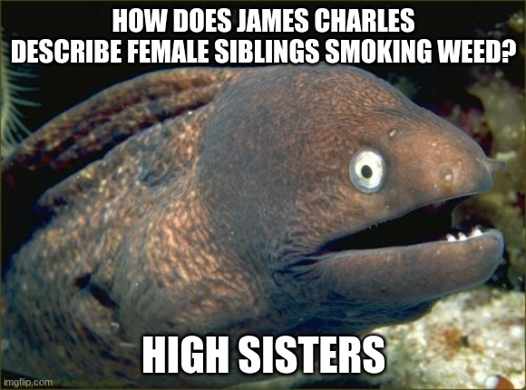 Stop me if you've heard this one. | HOW DOES JAMES CHARLES DESCRIBE FEMALE SIBLINGS SMOKING WEED? HIGH SISTERS | image tagged in memes,bad joke eel,james charles,youtube,lol | made w/ Imgflip meme maker