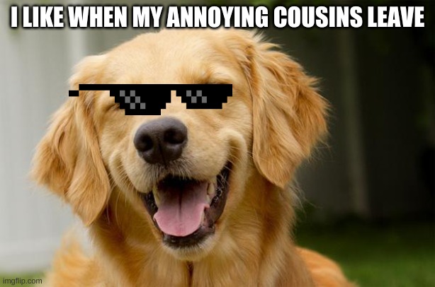 Happy Dog | I LIKE WHEN MY ANNOYING COUSINS LEAVE | image tagged in happy dog | made w/ Imgflip meme maker
