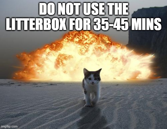 cat litter box explosion | DO NOT USE THE LITTERBOX FOR 35-45 MINS | image tagged in cat explosion | made w/ Imgflip meme maker