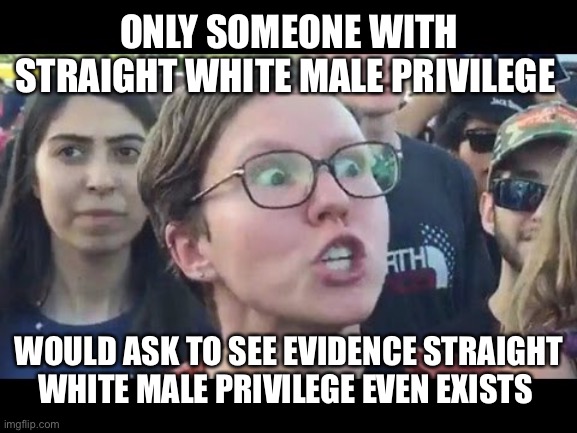 Angry sjw | ONLY SOMEONE WITH STRAIGHT WHITE MALE PRIVILEGE; WOULD ASK TO SEE EVIDENCE STRAIGHT WHITE MALE PRIVILEGE EVEN EXISTS | image tagged in angry sjw | made w/ Imgflip meme maker