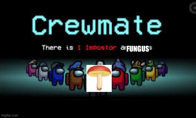 Hey, for my friend, Windbound_Official! | FUNGUS | image tagged in there is 1 imposter among us | made w/ Imgflip meme maker