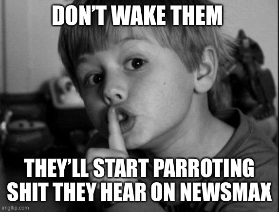 Shhhh | DON’T WAKE THEM THEY’LL START PARROTING SHIT THEY HEAR ON NEWSMAX | image tagged in shhhh | made w/ Imgflip meme maker