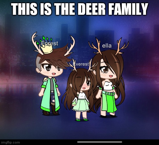 They are friends with the wood elf family | THIS IS THE DEER FAMILY | image tagged in family | made w/ Imgflip meme maker