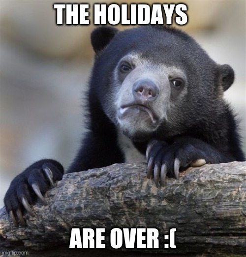 Confession Bear Meme | THE HOLIDAYS; ARE OVER :( | image tagged in memes,confession bear | made w/ Imgflip meme maker