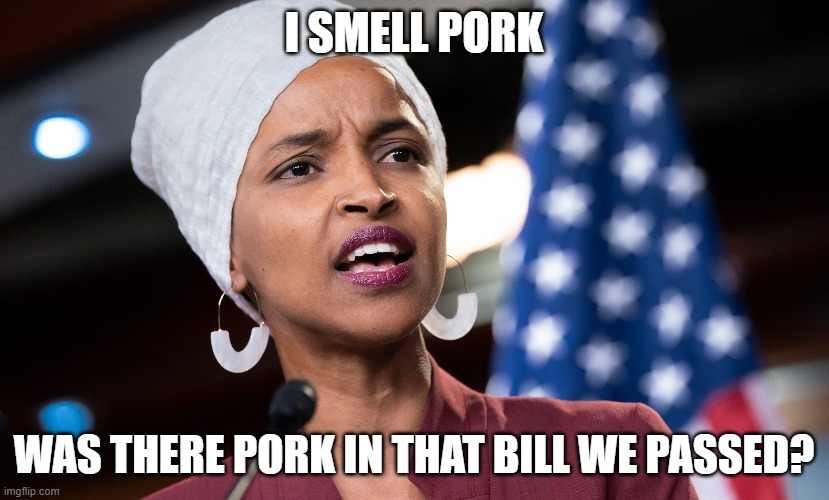 Stimulus |  I SMELL PORK; WAS THERE PORK IN THAT BILL WE PASSED? | image tagged in ilhan omar,stimulus,coronavirus,congress,2020,government corruption | made w/ Imgflip meme maker