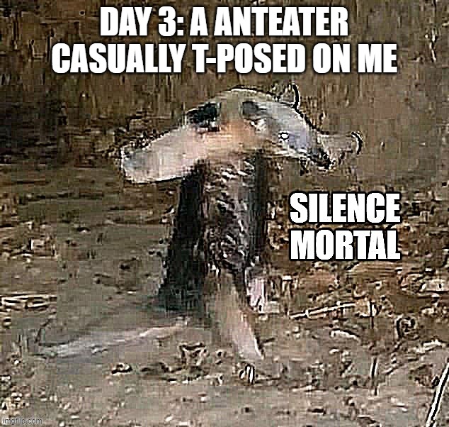 Silence Mortal Anteater | DAY 3: A ANTEATER CASUALLY T-POSED ON ME | image tagged in silence mortal anteater | made w/ Imgflip meme maker