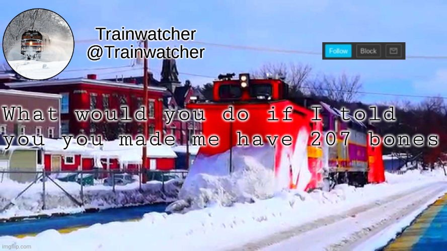 Trainwatcher Winter Temp | What would you do if I told you you made me have 207 bones | image tagged in trainwatcher winter temp | made w/ Imgflip meme maker