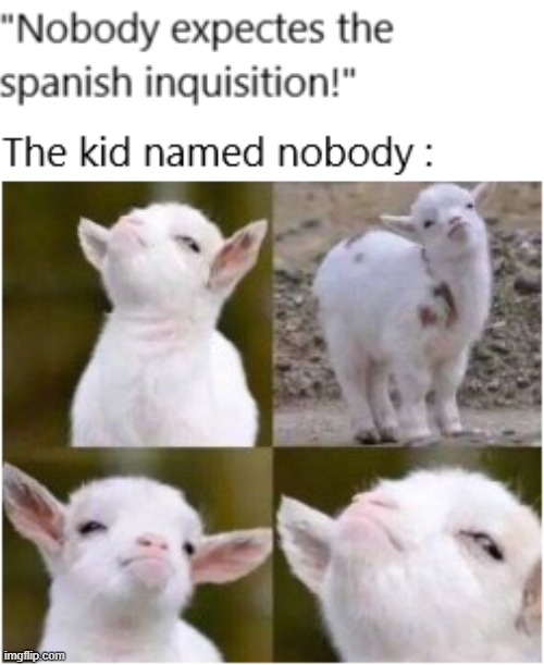 Smort | image tagged in arrogant,spanish inquisition,memes,fun,oh wow are you actually reading these tags | made w/ Imgflip meme maker