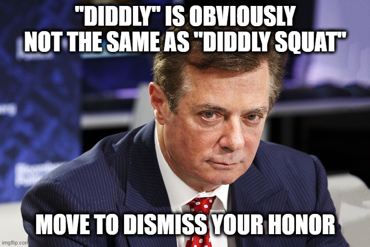 Paul Manafort | "DIDDLY" IS OBVIOUSLY NOT THE SAME AS "DIDDLY SQUAT" MOVE TO DISMISS YOUR HONOR | image tagged in paul manafort | made w/ Imgflip meme maker