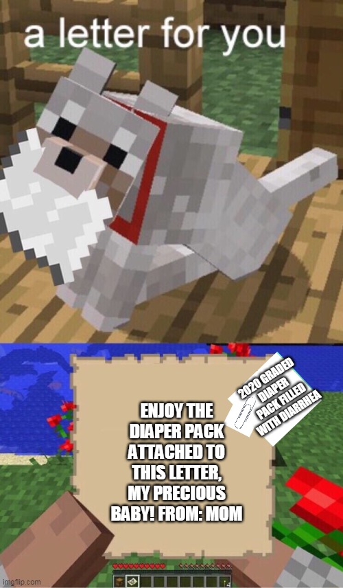 im new to dis stream |  ENJOY THE DIAPER PACK ATTACHED TO THIS LETTER, MY PRECIOUS BABY! FROM: MOM; 2020 GRADED DIAPER PACK FILLED WITH DIARRHEA | image tagged in minecraft mail | made w/ Imgflip meme maker