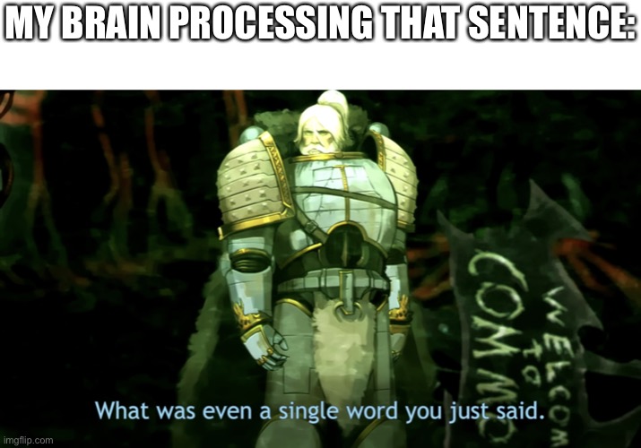 What was even a single word you just said? | MY BRAIN PROCESSING THAT SENTENCE: | image tagged in what was even a single word you just said | made w/ Imgflip meme maker