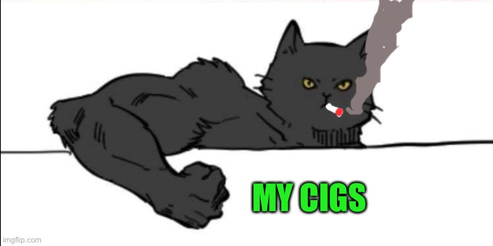 Buff cat | MY CIGS | image tagged in buff cat | made w/ Imgflip meme maker