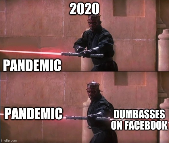 truth | 2020; PANDEMIC; PANDEMIC; DUMBASSES ON FACEBOOK | image tagged in darth maul double sided lightsaber | made w/ Imgflip meme maker