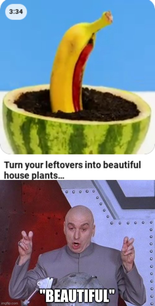 Yikes | "BEAUTIFUL" | image tagged in food,what,house plant | made w/ Imgflip meme maker