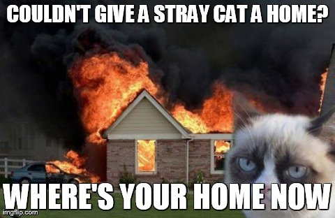 Burn Kitty Meme | COULDN'T GIVE A STRAY CAT A HOME? WHERE'S YOUR HOME NOW | image tagged in memes,burn kitty | made w/ Imgflip meme maker