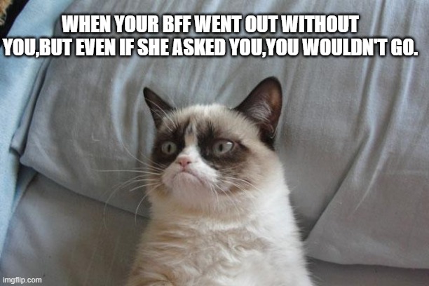 Lazy ass | WHEN YOUR BFF WENT OUT WITHOUT YOU,BUT EVEN IF SHE ASKED YOU,YOU WOULDN'T GO. | image tagged in memes,grumpy cat,lazy,bff | made w/ Imgflip meme maker