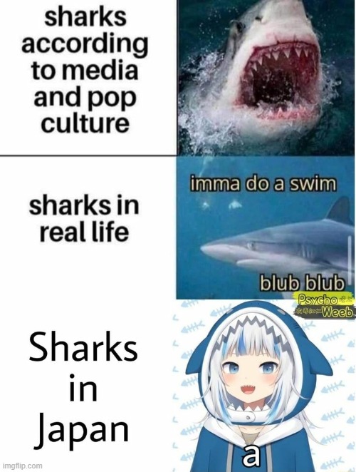 It's true though | image tagged in sharks | made w/ Imgflip meme maker