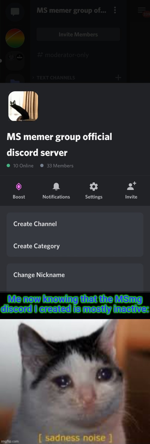 No disrespect to the other MSmg discord, but why is the OG one just ignored? (It's been around about the time I made the group.) | Me now knowing that the MSmg discord I created is mostly inactive: | image tagged in black background,sadness noises | made w/ Imgflip meme maker