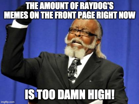 so so so so so so so true | THE AMOUNT OF RAYDOG'S MEMES ON THE FRONT PAGE RIGHT NOW; IS TOO DAMN HIGH! | image tagged in memes,too damn high,raydog | made w/ Imgflip meme maker