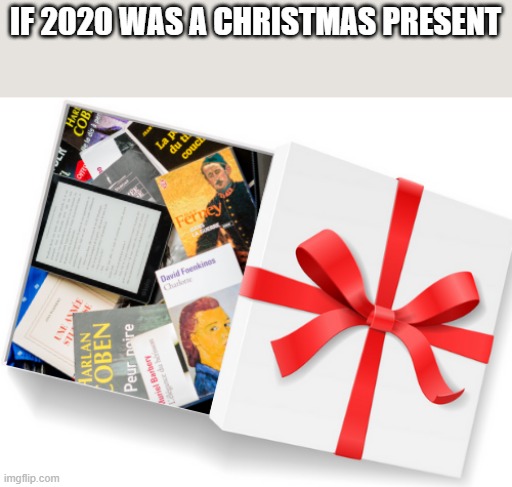 if 2020 #3 | IF 2020 WAS A CHRISTMAS PRESENT | image tagged in potato,christmas,present,2020 | made w/ Imgflip meme maker