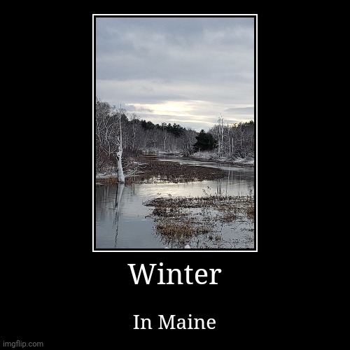 image tagged in funny,demotivationals,maine | made w/ Imgflip demotivational maker