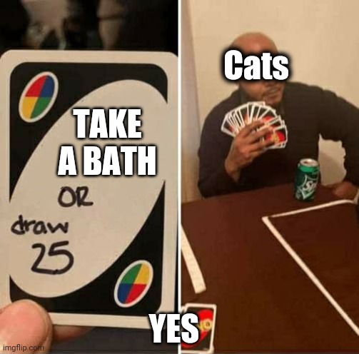 UNO Draw 25 Cards Meme | Cats; TAKE A BATH; YES | image tagged in memes,uno draw 25 cards | made w/ Imgflip meme maker