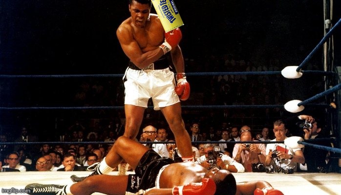 Knock Out Ali | image tagged in knock out ali | made w/ Imgflip meme maker