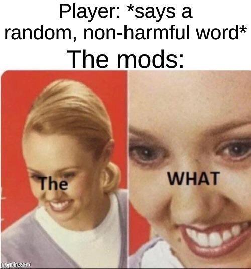 The Mods | Player: *says a random, non-harmful word*; The mods: | image tagged in the what woman,the what,roblox,roblox memes,banned from roblox,moderators | made w/ Imgflip meme maker