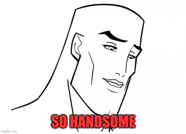 Handsome face | SO HANDSOME | image tagged in handsome face | made w/ Imgflip meme maker