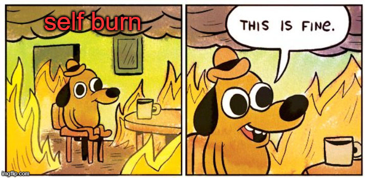 This Is Fine Meme | self burn | image tagged in memes,this is fine | made w/ Imgflip meme maker