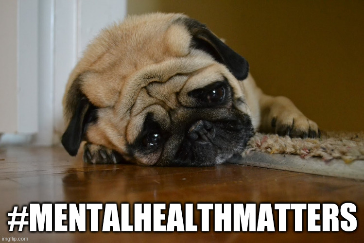Mental Health Matters | #MENTALHEALTHMATTERS | image tagged in sad dog,mental health,mentalhealthmatters | made w/ Imgflip meme maker