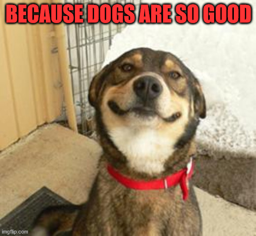 Good Dog Greg | BECAUSE DOGS ARE SO GOOD | image tagged in good dog greg | made w/ Imgflip meme maker