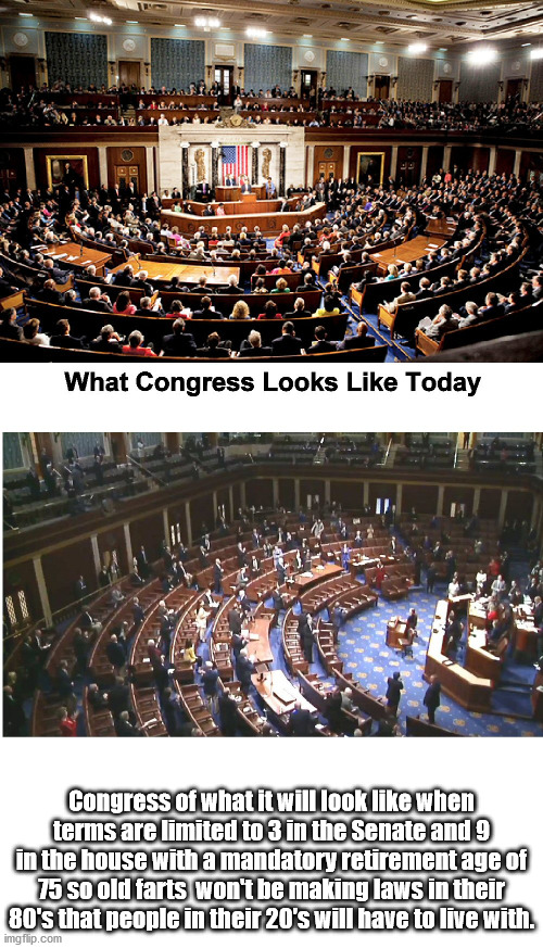 Term limits and mandatory retirement age | Congress of what it will look like when terms are limited to 3 in the Senate and 9 in the house with a mandatory retirement age of 75 so old farts  won't be making laws in their 80's that people in their 20's will have to live with. | image tagged in congress | made w/ Imgflip meme maker