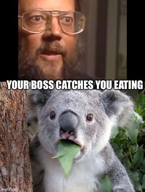 Your boss catches you eating | YOUR BOSS CATCHES YOU EATING | image tagged in suprised man,suprised koala | made w/ Imgflip meme maker