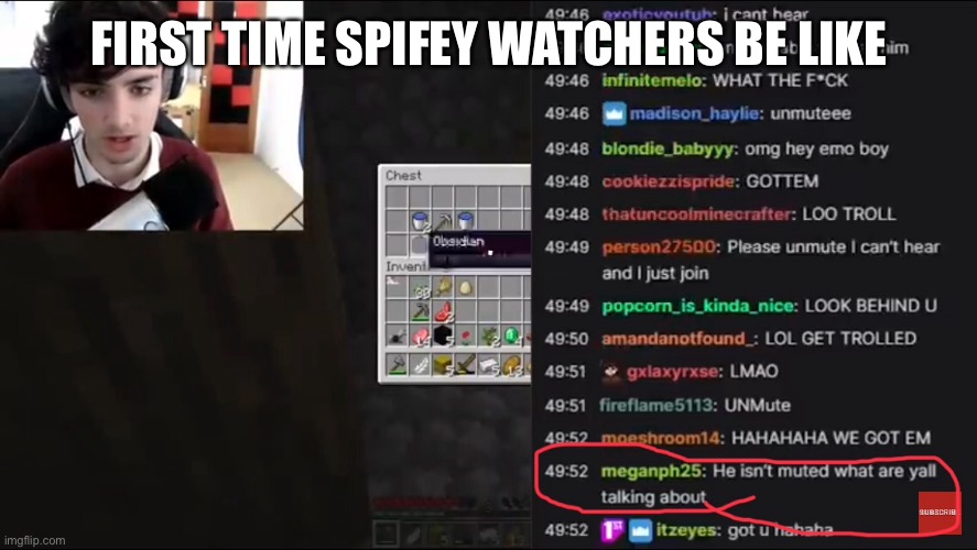 Sad. Doesn’t understand. | FIRST TIME SPIFEY WATCHERS BE LIKE | image tagged in minecraft,youtube,oh wow are you actually reading these tags | made w/ Imgflip meme maker