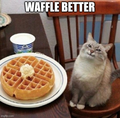 Cat likes their waffle | WAFFLE BETTER | image tagged in cat likes their waffle | made w/ Imgflip meme maker